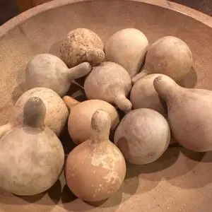 Gourds