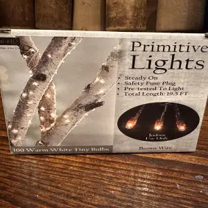 100ct Rice Lights