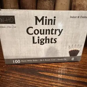 100ct Mini Lights